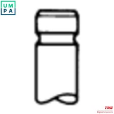 4x INTAKE VALVE 539011 FOR