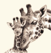 Exclusive GIRAFFE + BABY ~