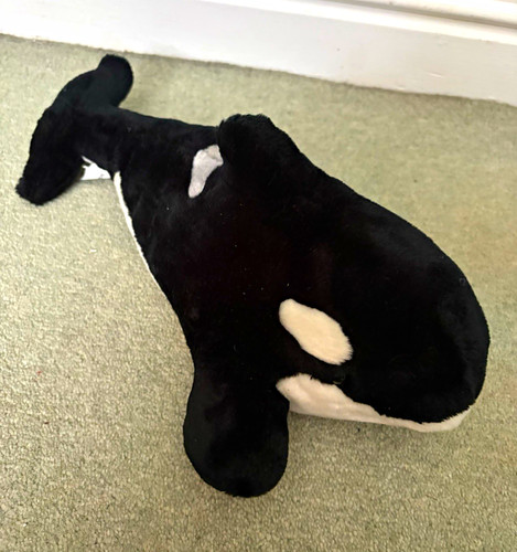 Seaworld orca killer whale - killer,