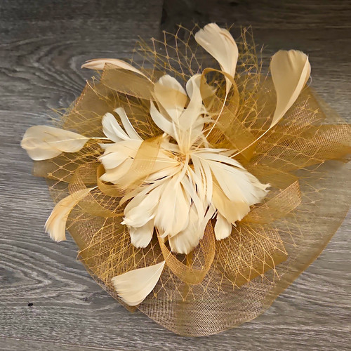 Gold colour feather mesh - colour,
