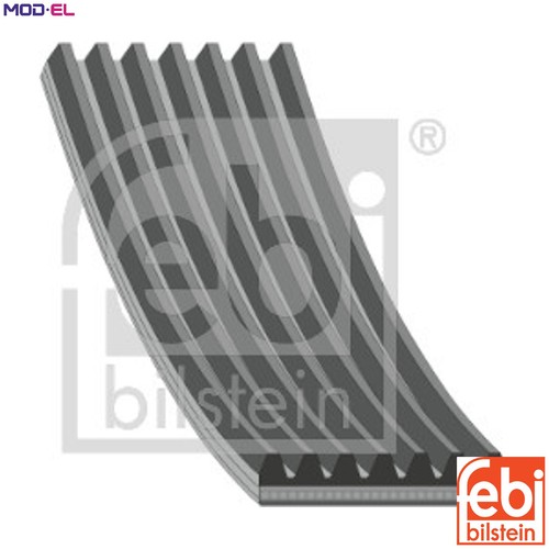 Vribbed belt 176708 - belt,