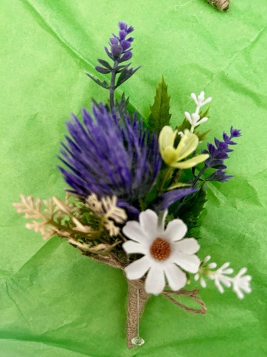 Scottish wild flowers - wild,