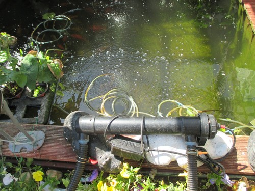 Pond doctor clarifier - pond,