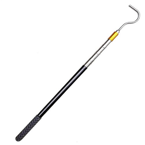 Telescoping easy reach - reach, rv