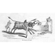 A Spanish Bull Fight - Antique