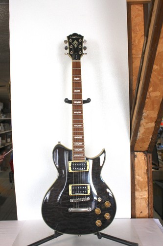 2003 washburn pro - washburn,