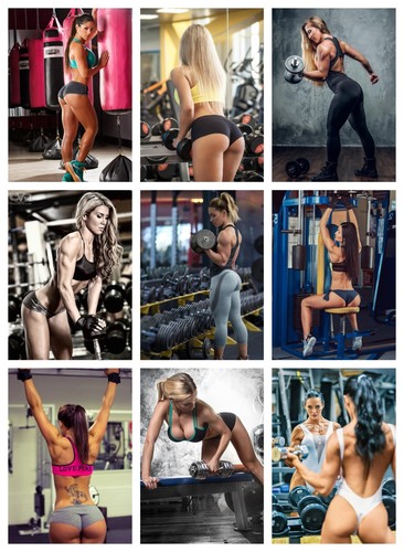Gym babe workout poster - -, many