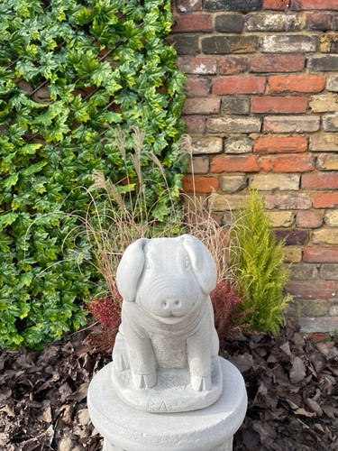 Outdoor pig figurine concrete - outdoor,