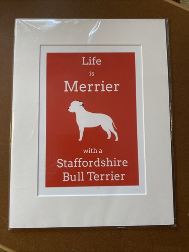 Staffordshire bill terriers - staffordshire,