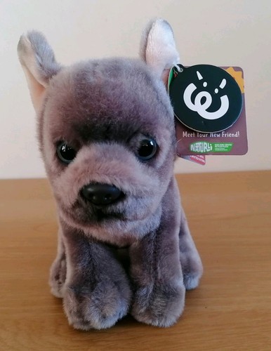 Living nature french bulldog - living,