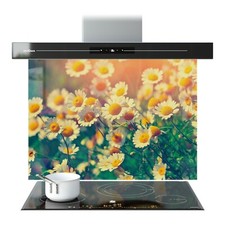 Kitchen Glass Splashback