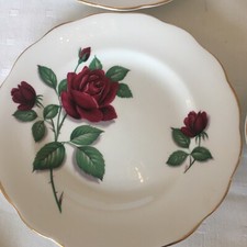 Royal Standard Red Velvet