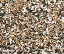 Johnston & Jeff Cockatiel &