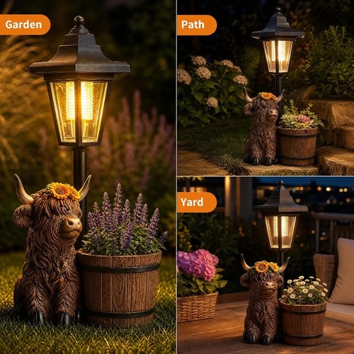 New highland cow - cow, garden