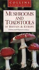 Mushrooms And Toadstools Of