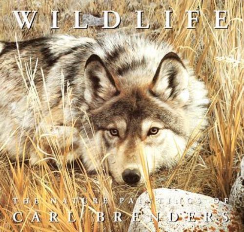 Wildlife the nature - the, paintings