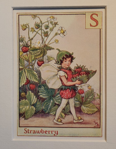Vintage flower fairies print - vintage, &