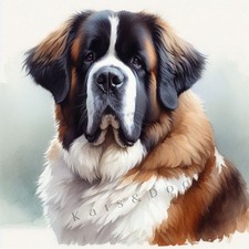 SAINT ST BERNARD Watercolour