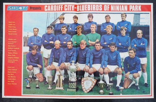 Football team picture - picture, cardiff