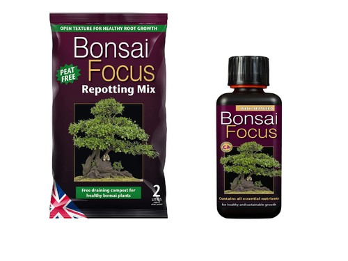 Growth technology bonsai focus - growth,