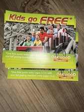 Oakwood Theme Park Mega Phobia