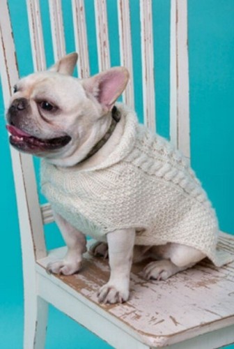 Aran dog coat sweater - dog, 16