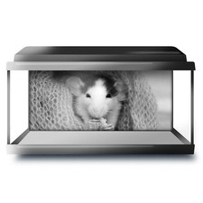 Fish Tank Background 90x45cm