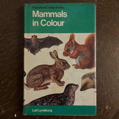 Mammals colour leif - mammals,