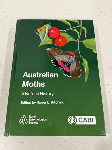 Australian moths natural - australian,