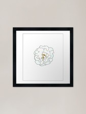 Gardenia flower Framed Art