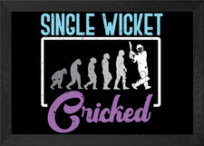 Single Wicket Cricket Play