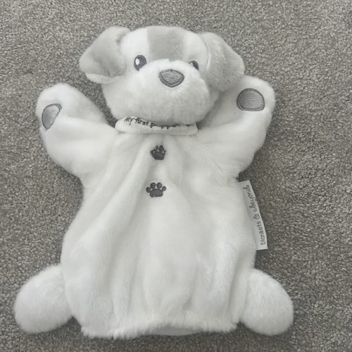 New white grey puppy dog - white,