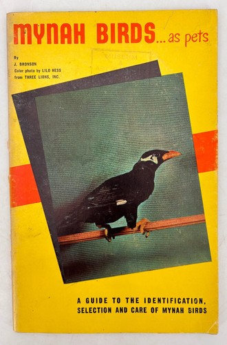 Mynah birds pets - birds, bronson