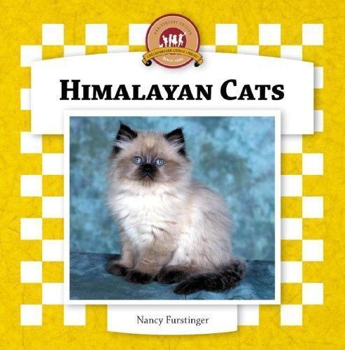 Himalayan cats furstinger - cats, by