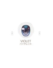 BJD Resin Doll Eye 20 mm