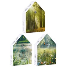 Singing Bird Box White Noise