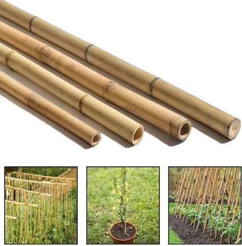 Bamboo canes 5ft heavy duty - bamboo,