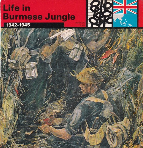Life the burmese jungle - life,