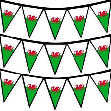 Welsh Dragon - Wales Flag