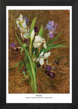 Irises Painting Framed Wall