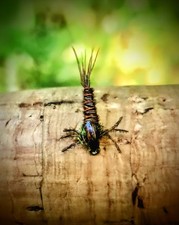 3 x Pheasant Tail Nymph