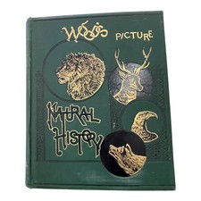 Victorian Natural History Picture Book Mammalia by Rev J.G. Wood