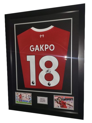 Cody gakpo hand - hand, signed