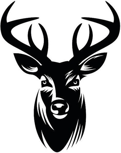 Extra large stag deer - large, 30"