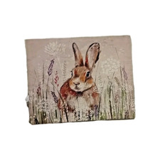 Rabbit/Hare Canvas Print 19.5 In x 16 In x 1 In