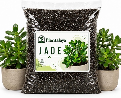 Jade plant potting mix - jade,