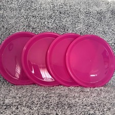 4 Pack 10" Picnic BBQ Party