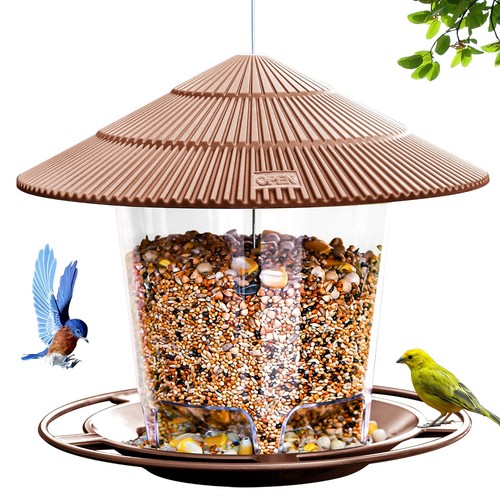 Bird feeder outdoor hanging - bird,