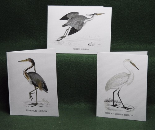 Misterbcards antique f o - antique,