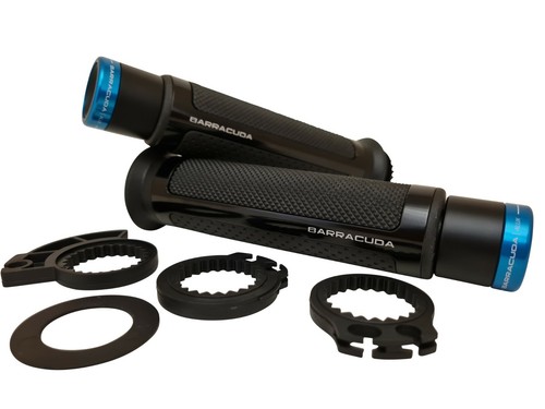 Kawasaki zrx1200 barracuda - zrx1200,
